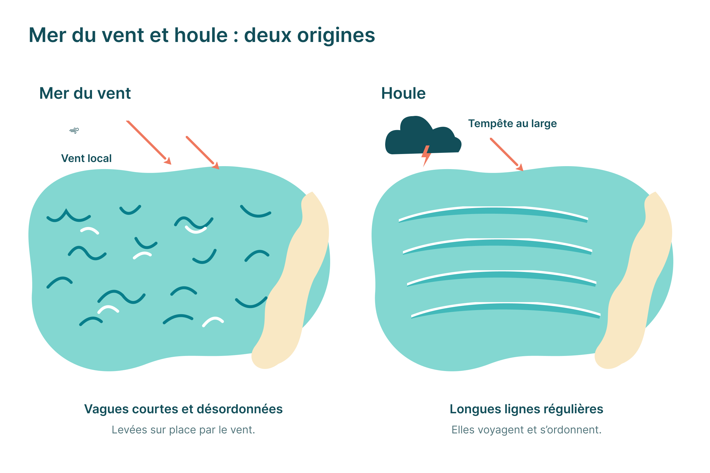La mer du vent, levée sur place en vagues courtes et désordonnées, et la houle venue d'une tempête au large, en longues lignes régulières